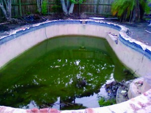  swimming pool before resurfacing